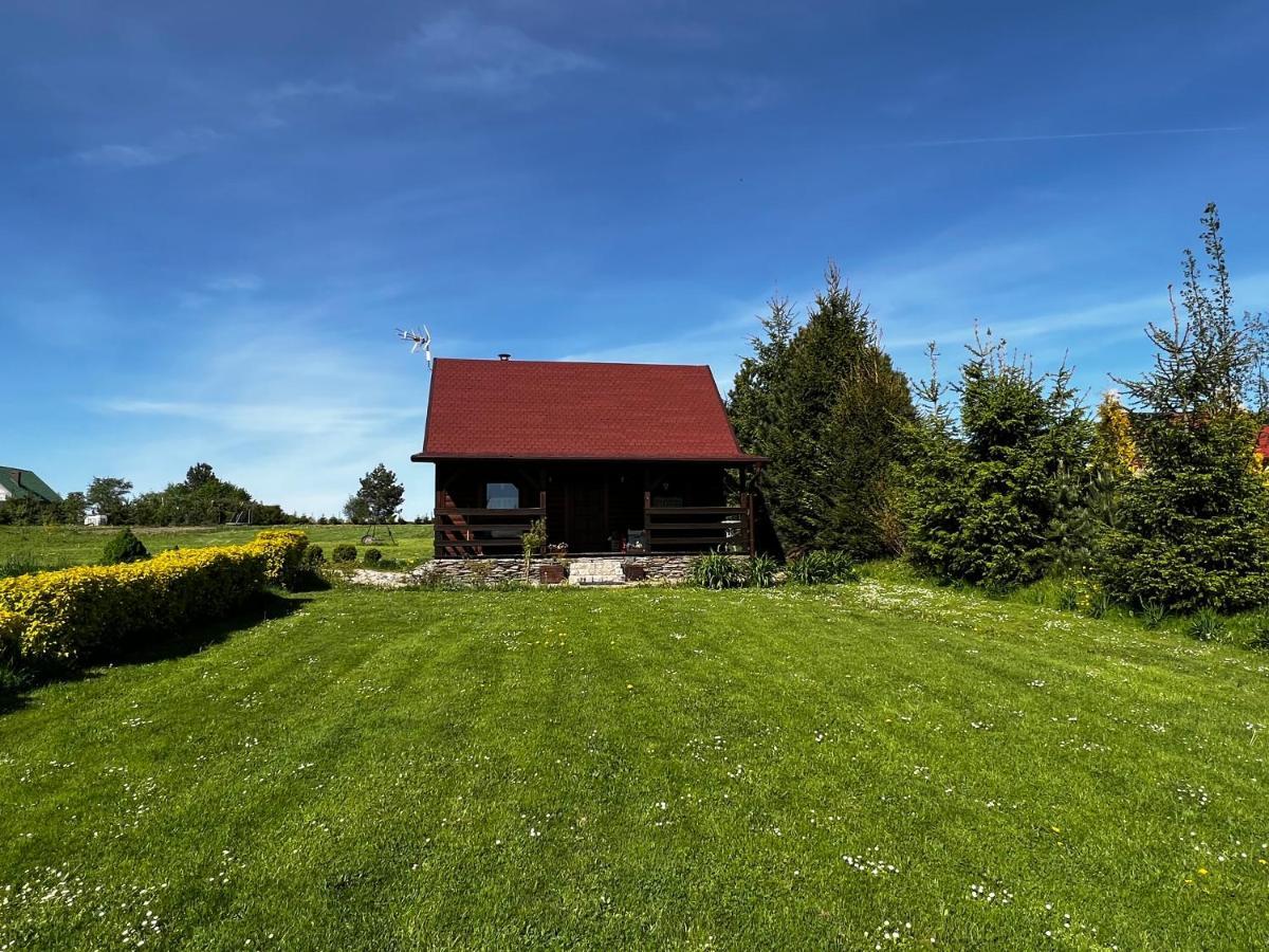 Domek U Karkonosza Villa Kamienna Gora Exterior photo
