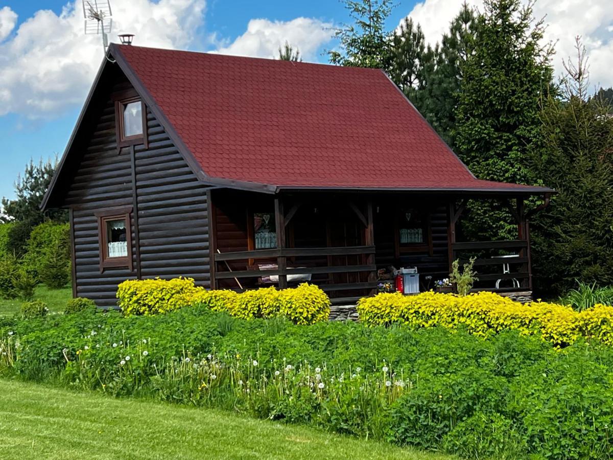 Domek U Karkonosza Villa Kamienna Gora Exterior photo
